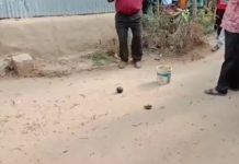 কল্যাণীতে বিজেপি কর্মীর বাড়িতে বোমা