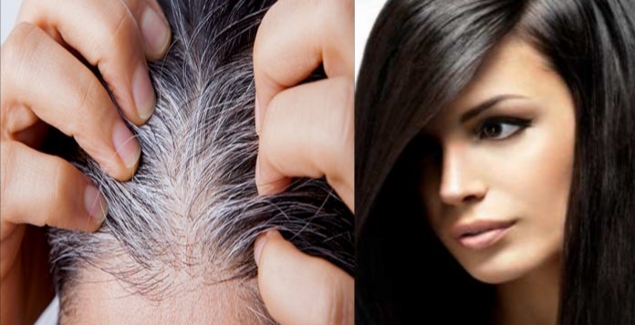 Picsart_22-01-30_20-17-00-450